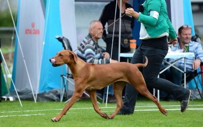 Fertig – Bilder von Eddis Kindern gehen online