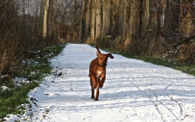 Wir freuen uns über viele neue Bilder