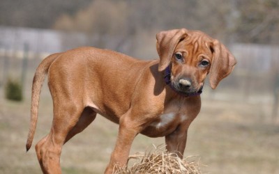 Eddis Kinder werden erwachsen…