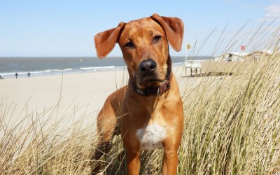 Neue Fotos von unseren C’s