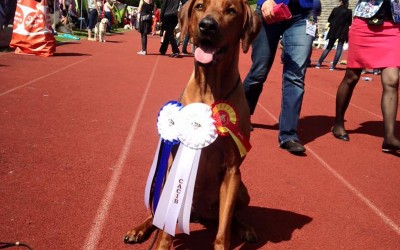 Eddis Tochter Zoe räumt ab!