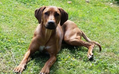 Zu Besuch bei Chipo Emma