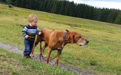Wir sind zurück aus dem Schwarzwald