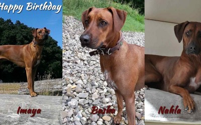 Happy Birthday Ekundu Durah Bahatis!