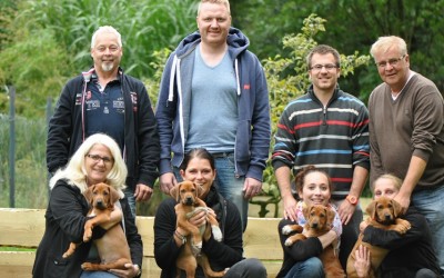 Abschied ist ein bittersüßer Schmerz