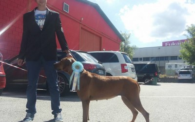 Eddis Tochter Escape to Heart by Luanda ist Champion