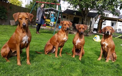 Ekundu Durah Chipo Cleo war da