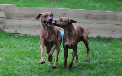 Faraa hatte charmanten Besuch….