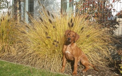 Mal wieder neues von den Dayos