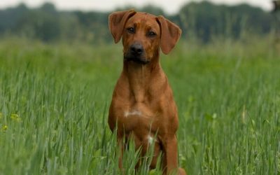 Noch ein Schwung Fotos :)