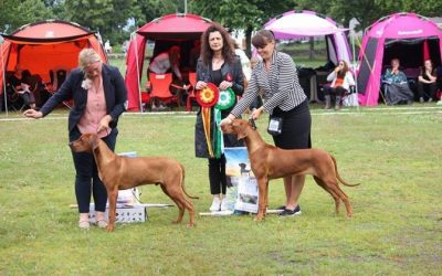 Eddis Enkel räumen ab