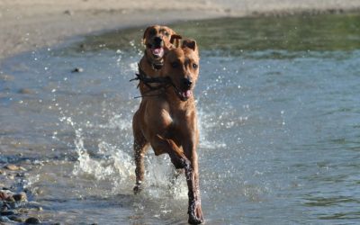 Treffen mit Ebun Loui am Rhein