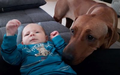 Einfach mal Danke sagen…