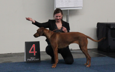 Eyla war erfolgreich