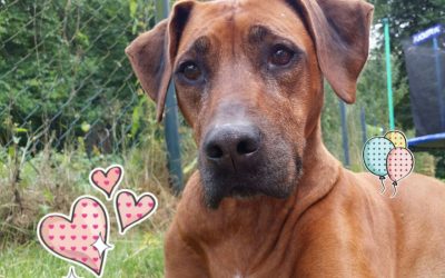 Luna ist nun 9 Jahre alt