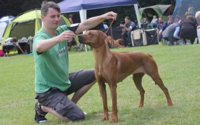 Lilas erste Ausstellung