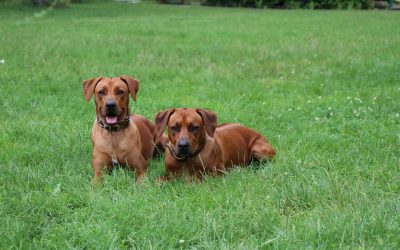 Lila und Eyla in Ludwigshafen